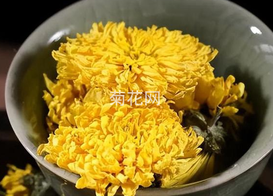 怀菊花多少钱一斤？怀菊花价格