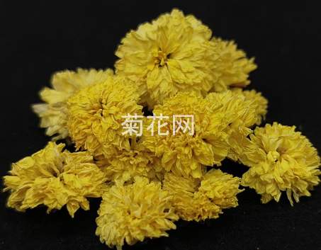 菊花茶的功效与作用_菊花茶功效作用百科