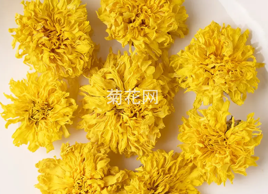 什么样的怀菊花功效最好？