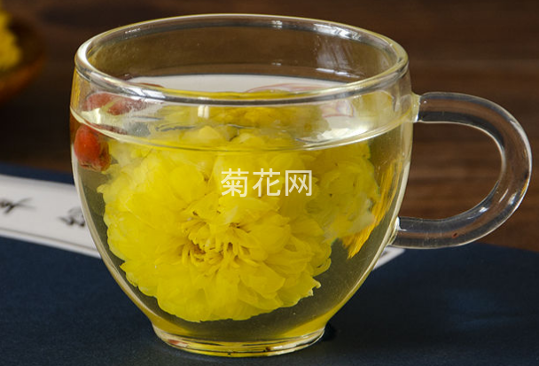 怀菊花茶怎么冲泡，冲泡方法