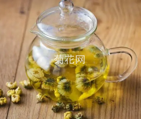 菊花茶的正确冲泡方法