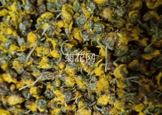 阴干的菊花和烘干的菊花对比哪一种更好点