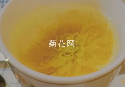 冲泡菊花茶的最佳水温